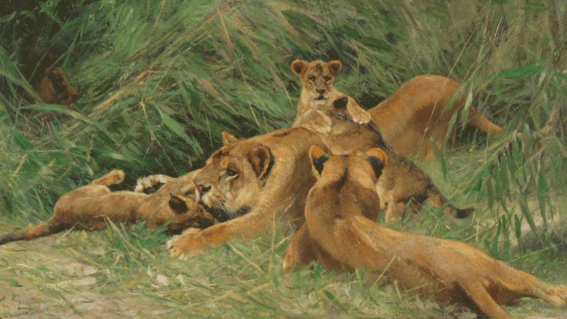 Vorteil der Anpassungsfähigkeit